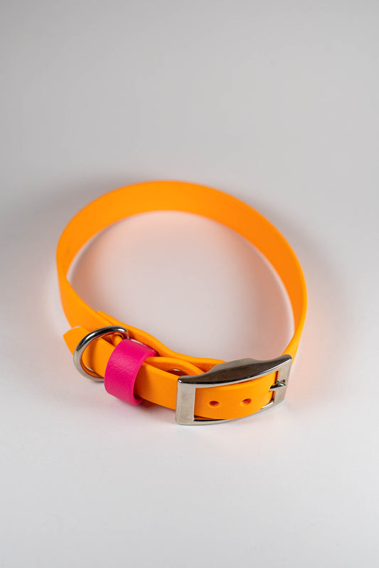11-14" Pumpkin Collar