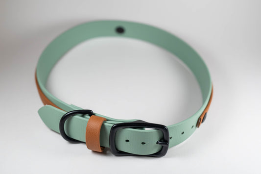19-22" Sage and Tawny Accent Stripe Collar