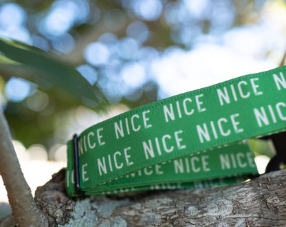 Nice Eco Canvas Custom Dog Collar