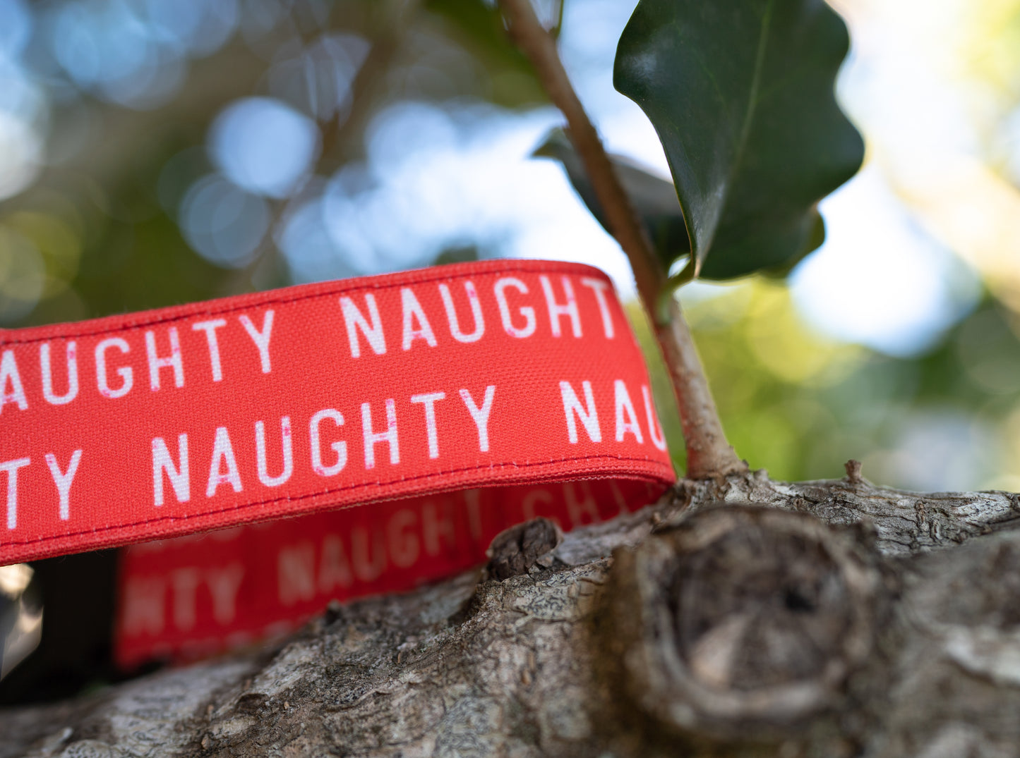 Naughty Eco Canvas Custom Dog Collar