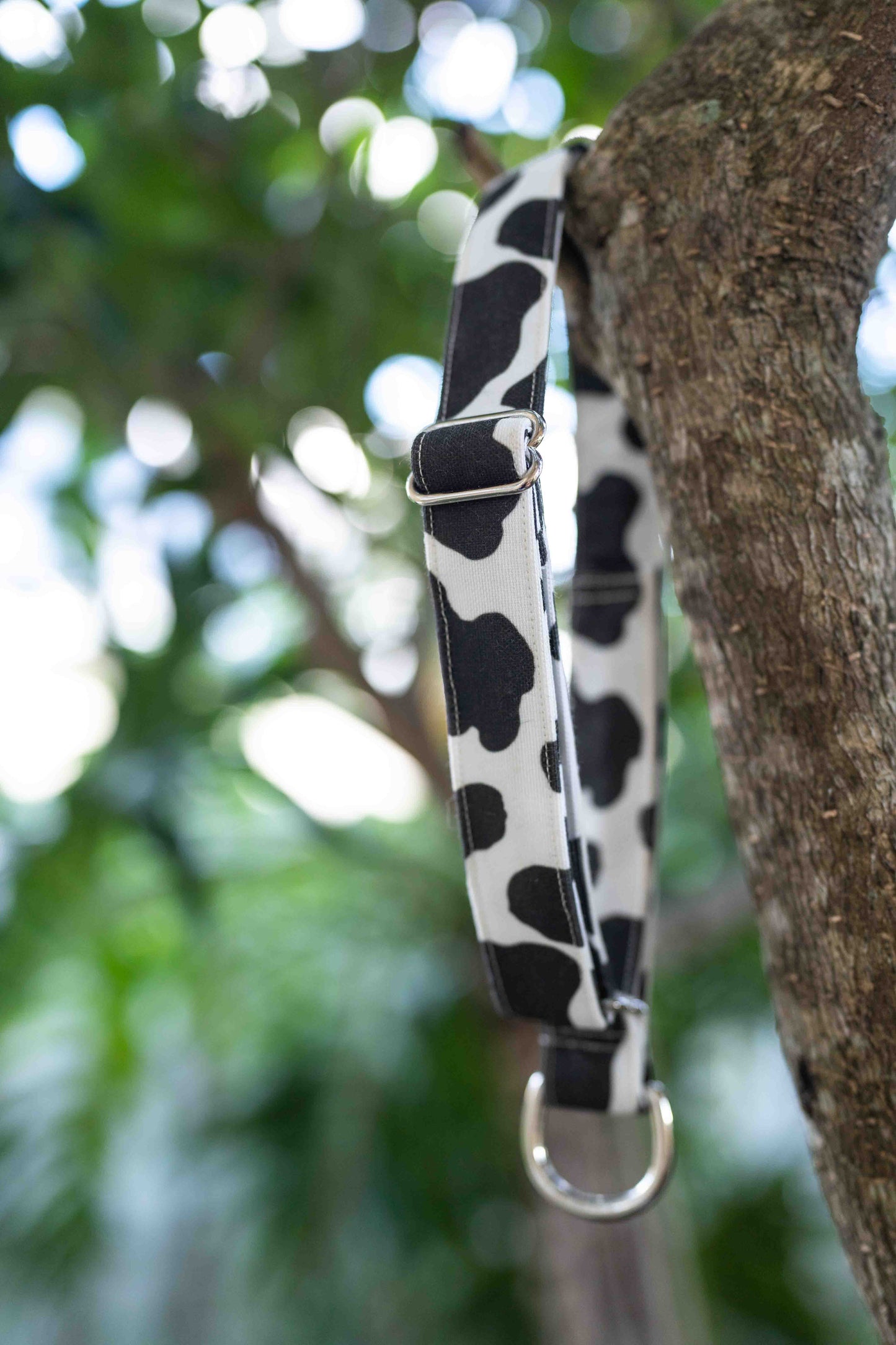 Cow Print Eco Canvas Custom Dog Collar