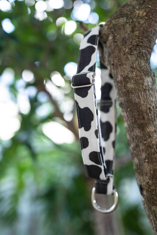 Cow Print Eco Canvas Custom Dog Collar