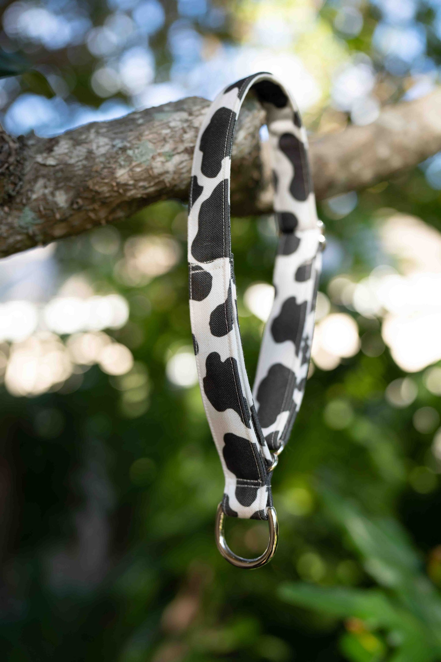 Cow Print Eco Canvas Custom Dog Collar