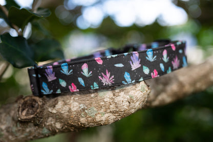 1.5" Width Eco Canvas Collars