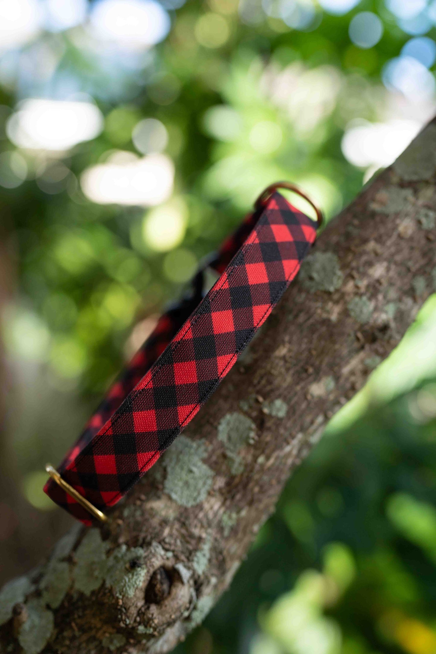 Buffalo Plaid Eco Canvas Custom Dog Collar