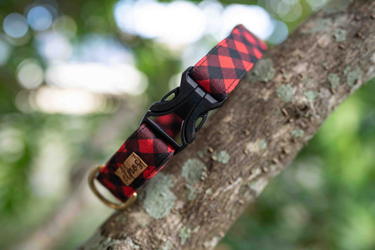 Buffalo Plaid Eco Canvas Custom Dog Collar