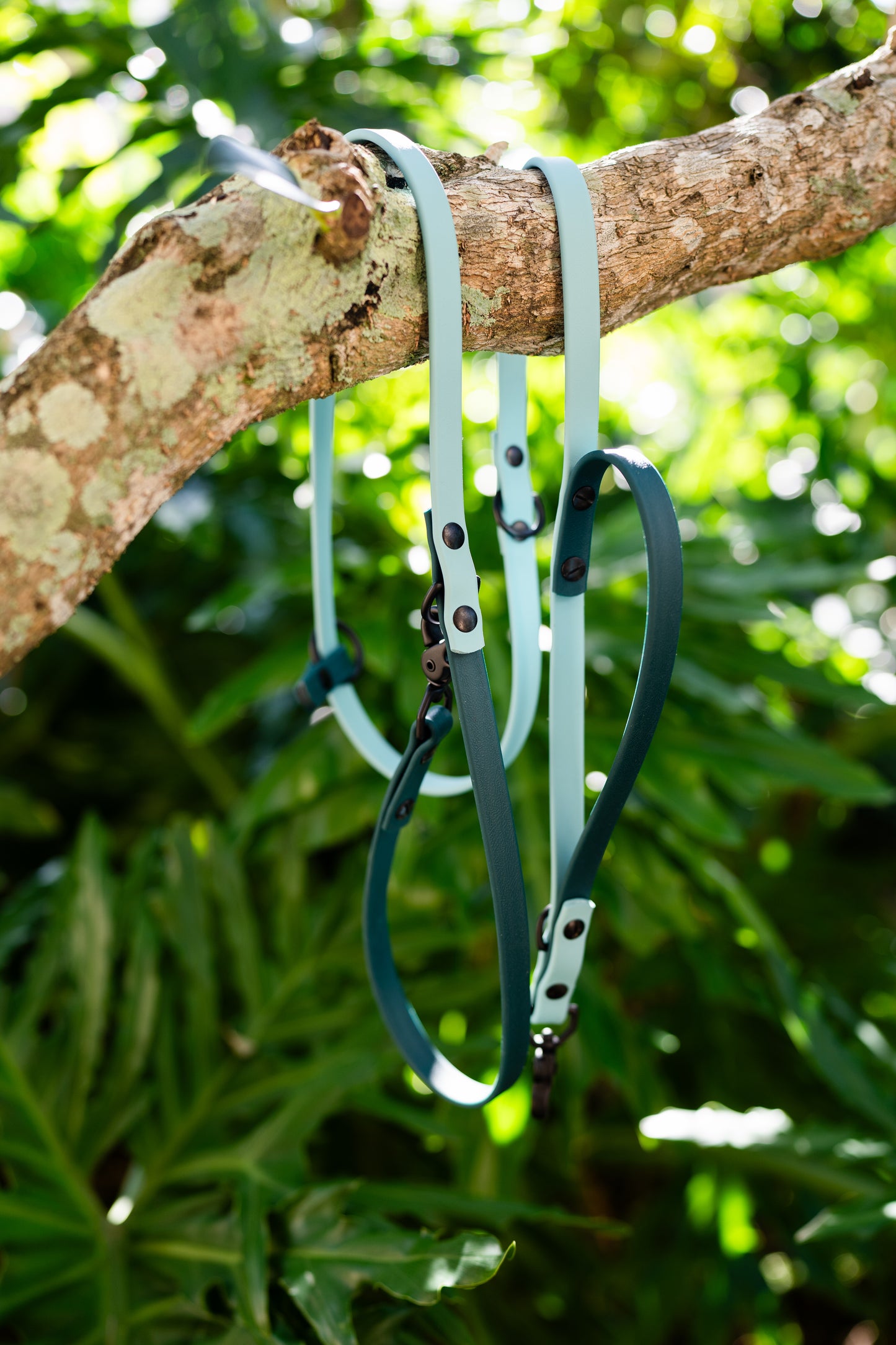 Ultimate Hands-Free Convertible Leash