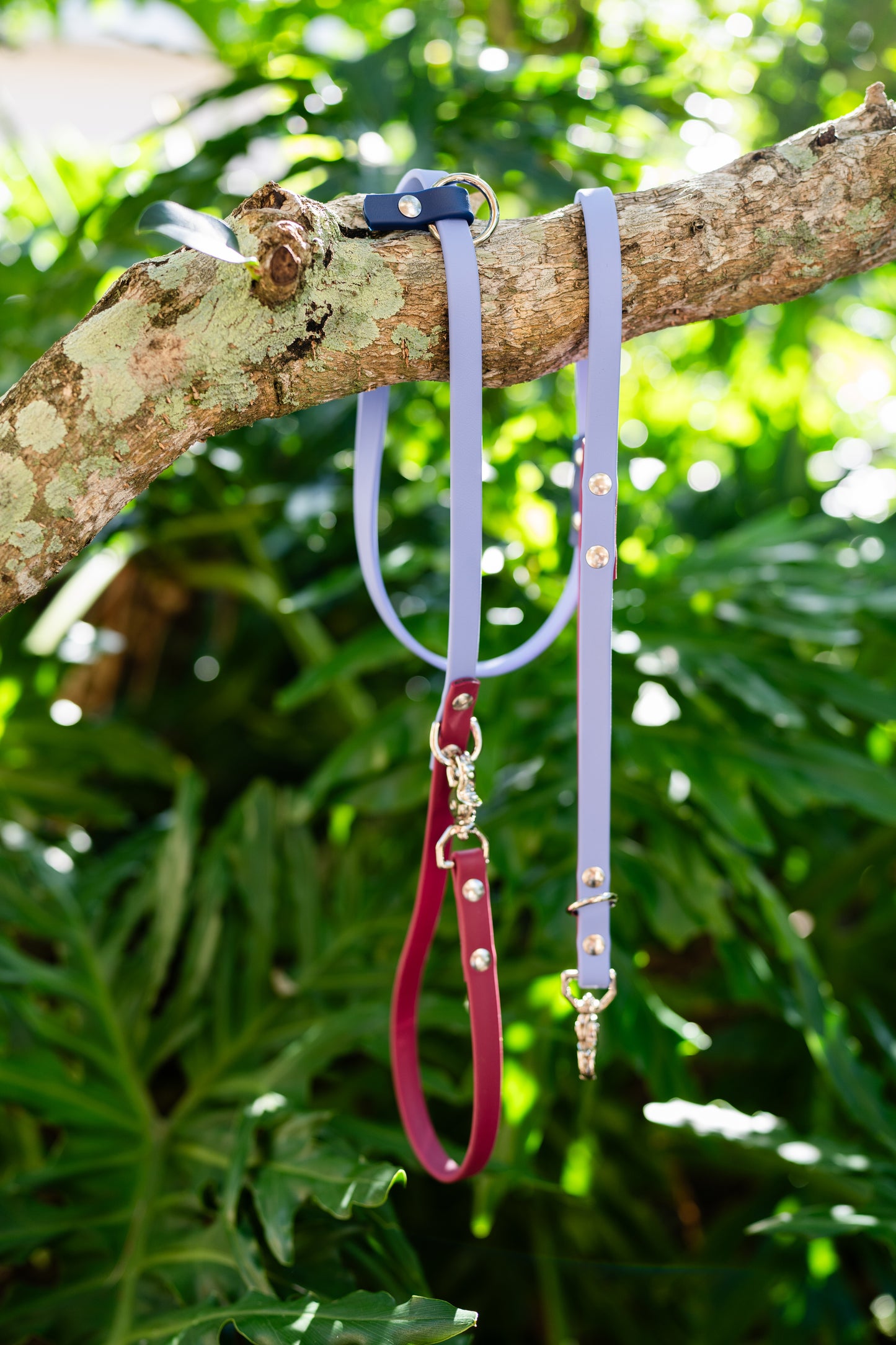 Ultimate Hands-Free Convertible Leash