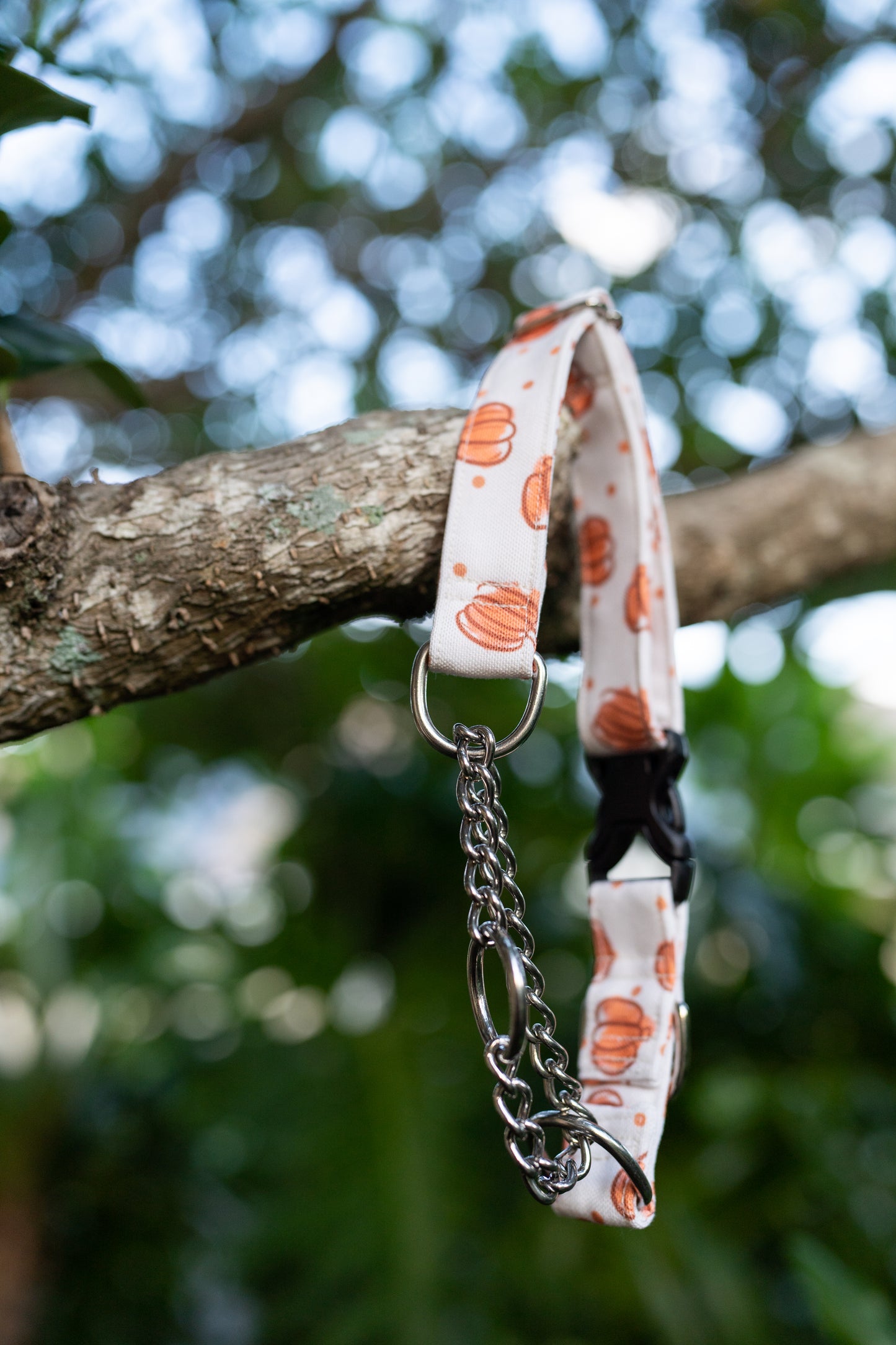 1" Width Eco Canvas Collars
