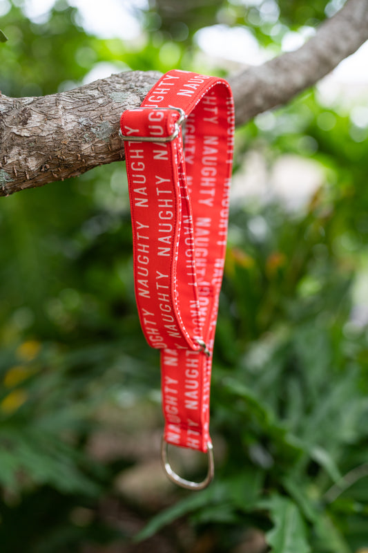 Naughty Eco Canvas Custom Dog Collar