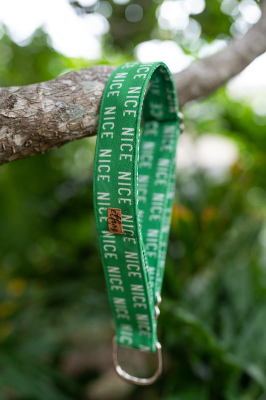 Nice Eco Canvas Custom Dog Collar