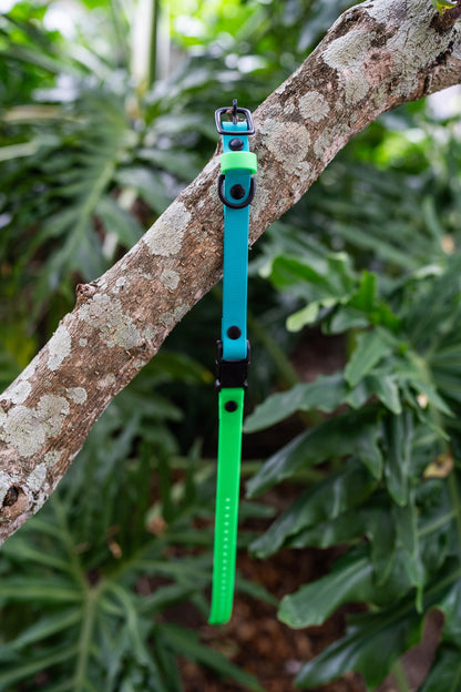 Adjustable E-Collar Strap with Quick Release Buckle (Optional Bungee)