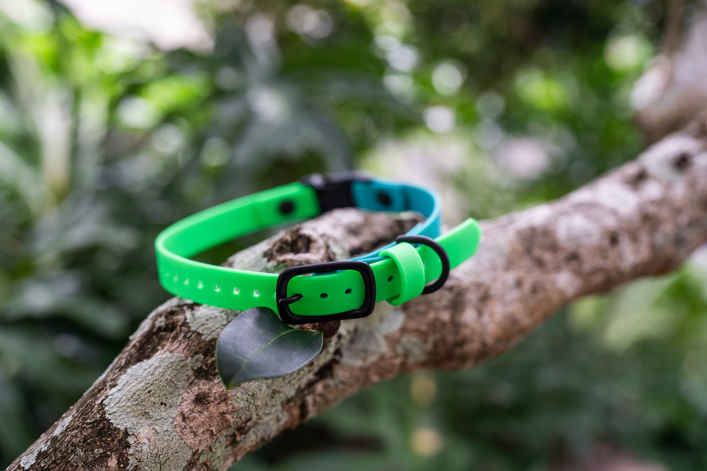 Adjustable E-Collar Strap with Quick Release Buckle (Optional Bungee)