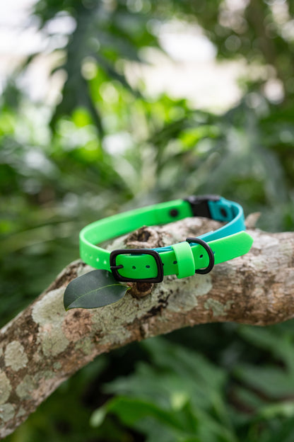 Adjustable E-Collar Strap with Quick Release Buckle (Optional Bungee)