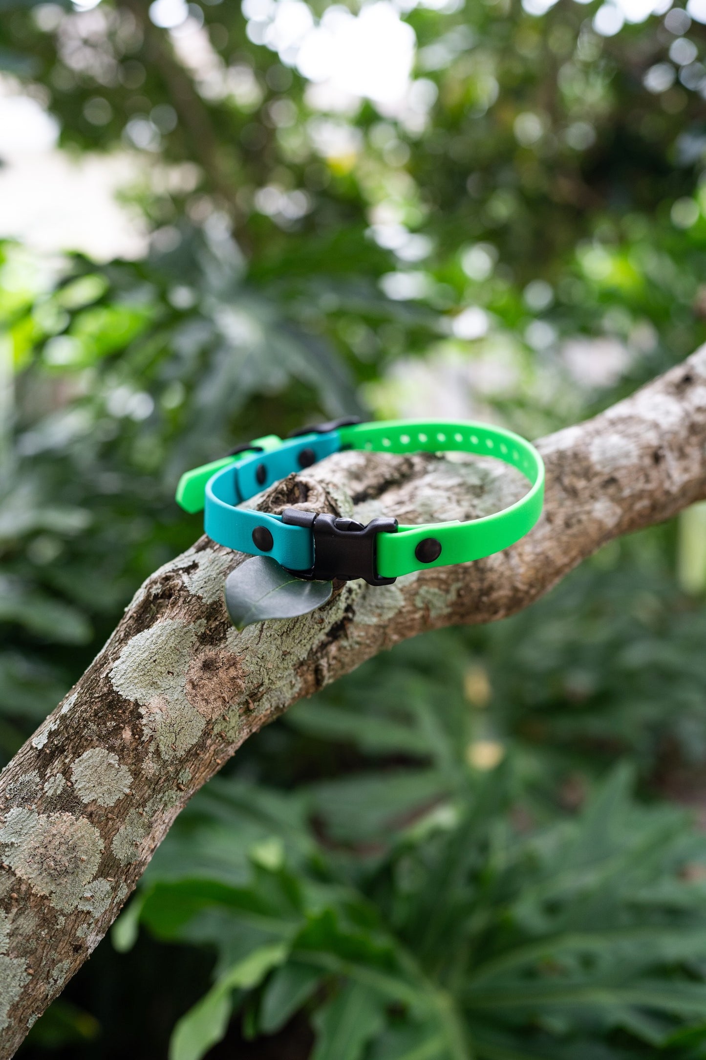 Adjustable E-Collar Strap with Quick Release Buckle (Optional Bungee)