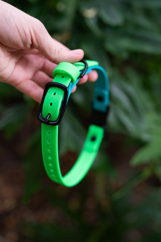 Adjustable E-Collar Strap with Quick Release Buckle (Optional Bungee)