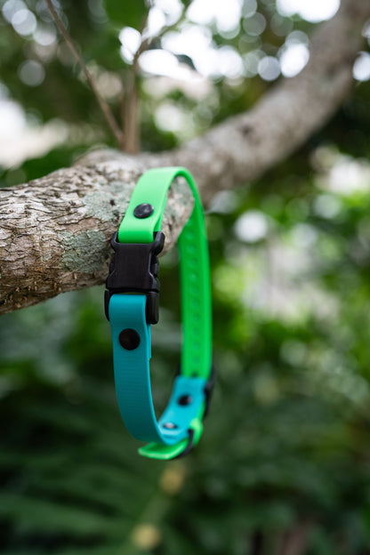 Adjustable E-Collar Strap with Quick Release Buckle (Optional Bungee)