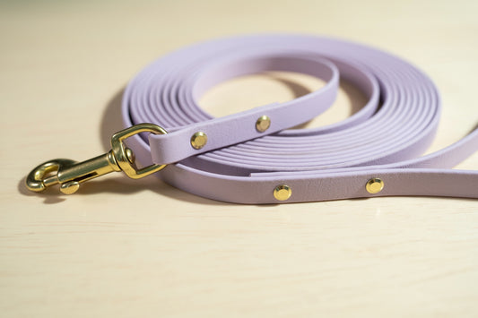 1/2" Cat or Small Dog Waterproof Custom BioThane Leash