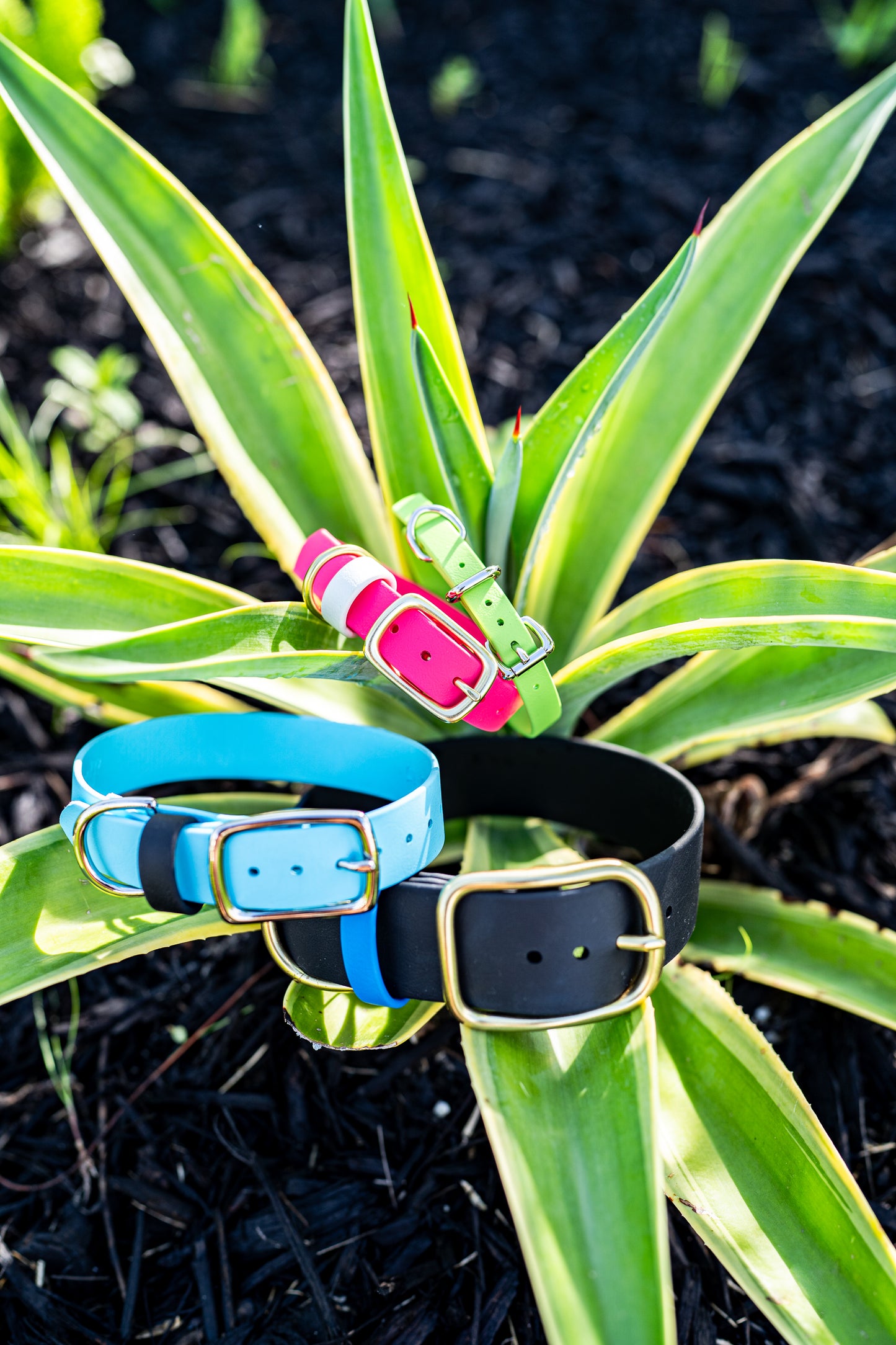 Essentials Collar