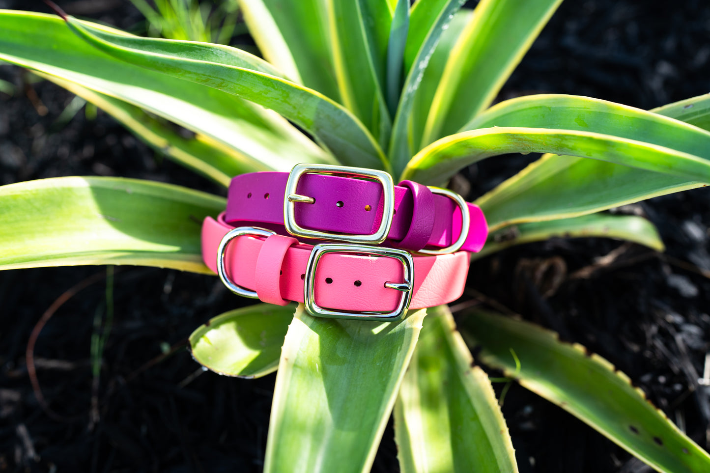 Essentials Collar