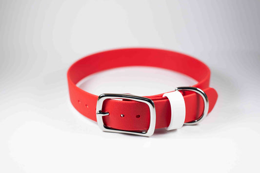 16-19" Red Collar
