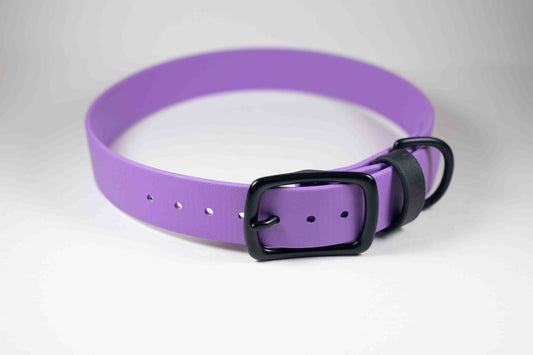 16-19" Purple Collar
