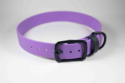 16-19" Purple Collar
