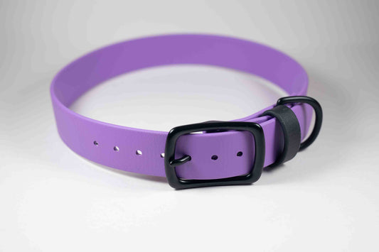 16-19" Purple Collar