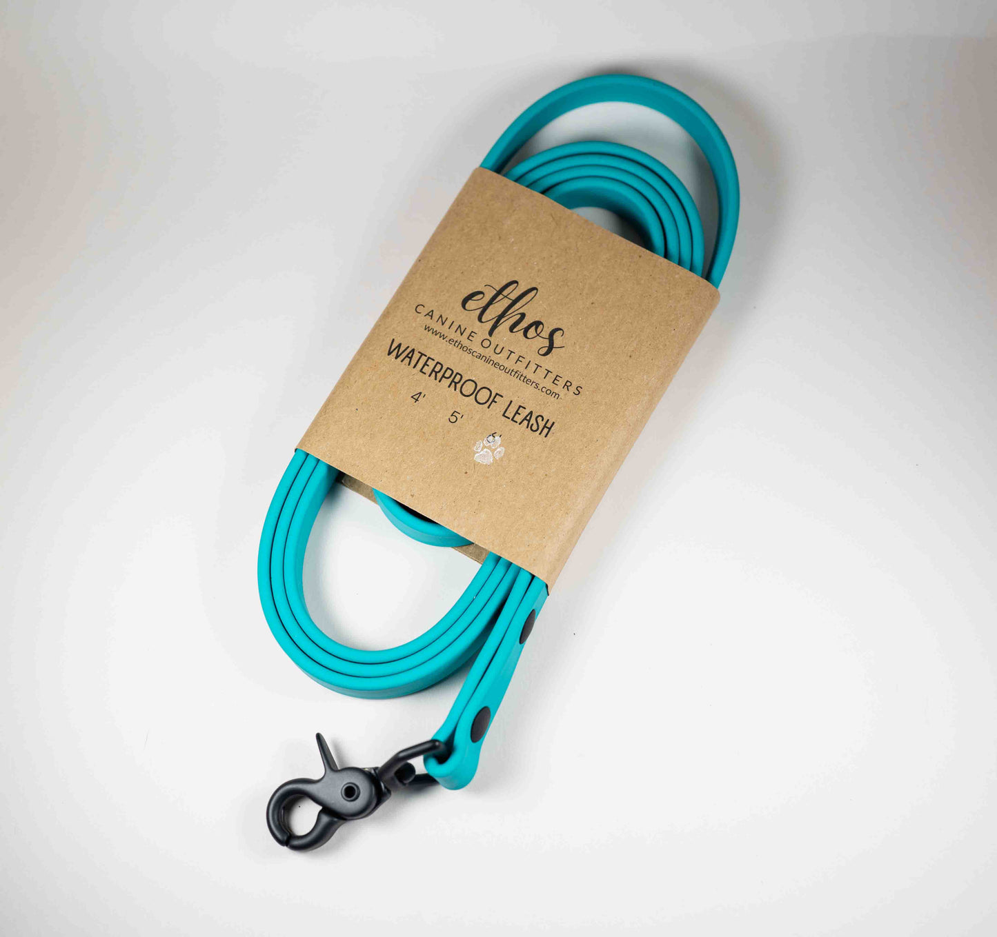 6' Teal Leash