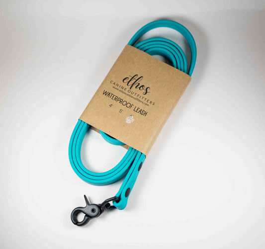 6' Teal Leash