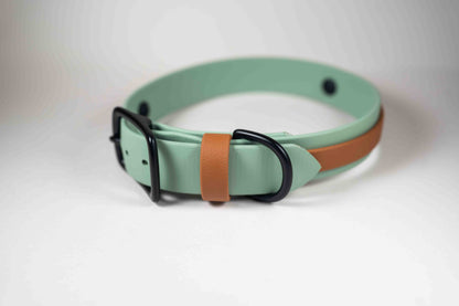 14-16" Sage and Tawny Accent Stripe Collar
