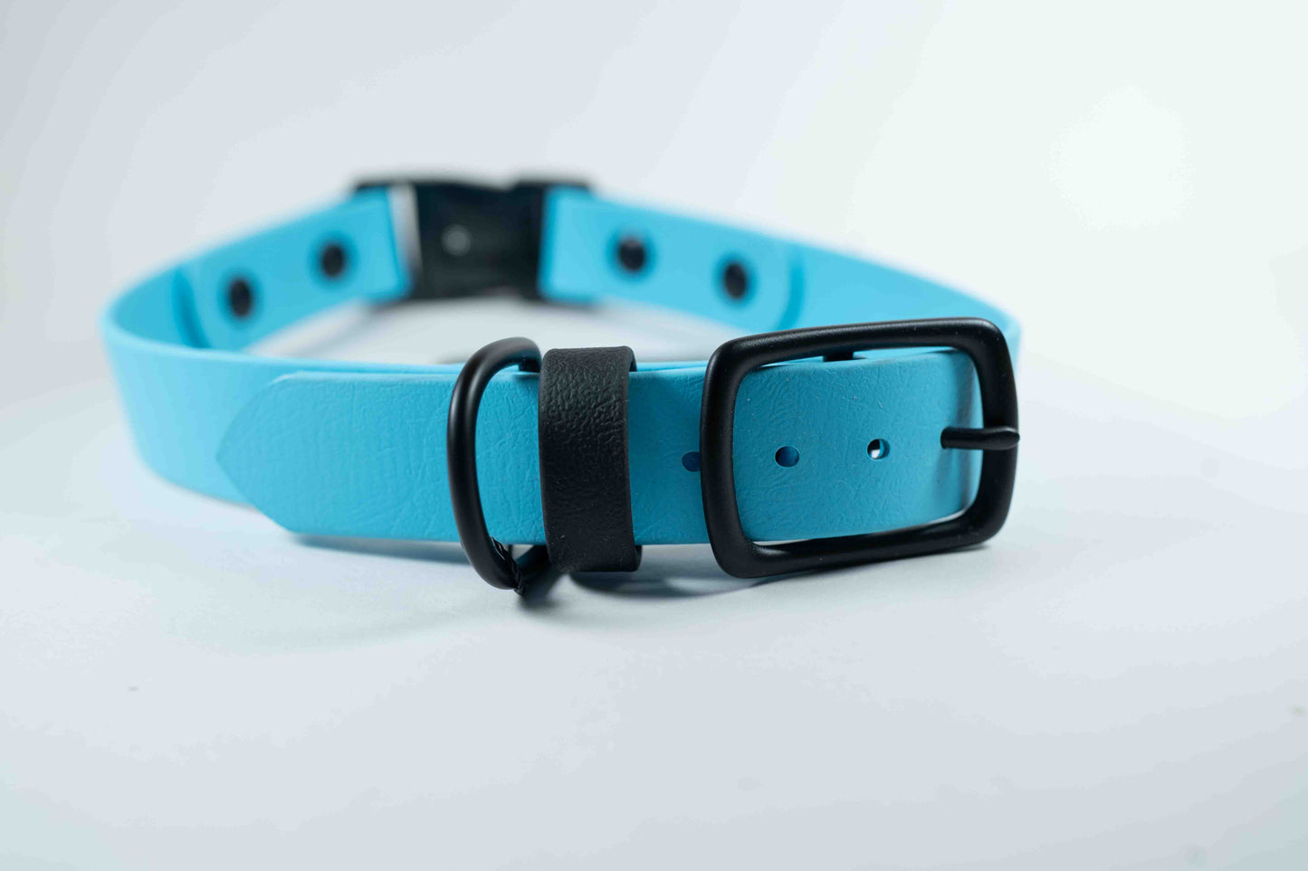 18-21" Arctic Blue Collar with Adjustable and Quick Release Buckles