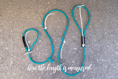 Rolled BioThane Slip Leash
