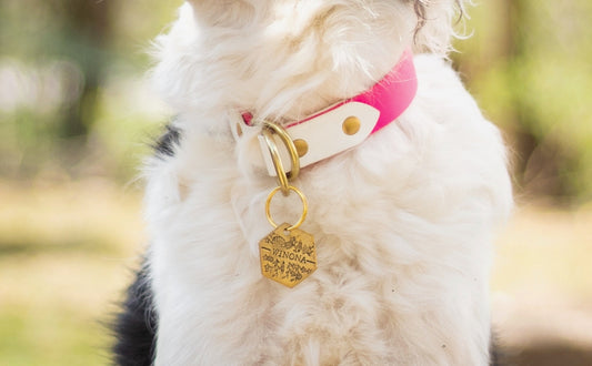 Full Slip Collar